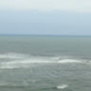 Meet your Posher, Nolan